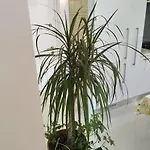 Apartman Azure View Split