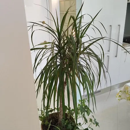 Lägenhet Azure View Split