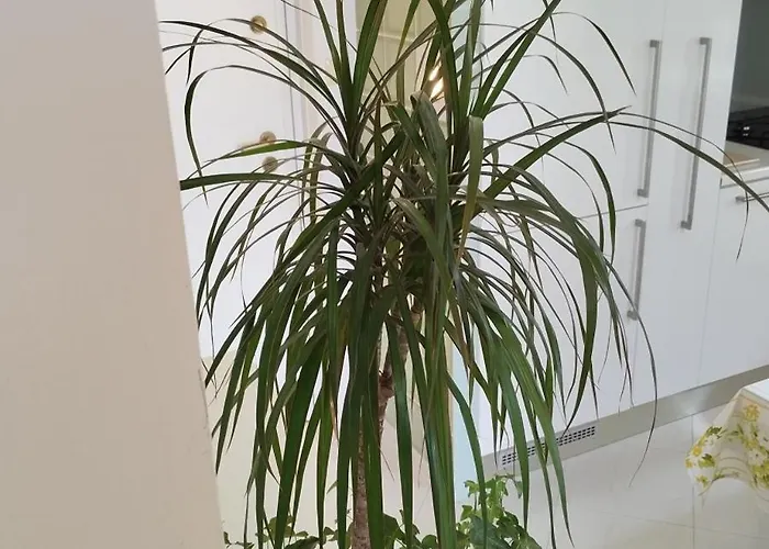 Апартаменти Azure View Спліт